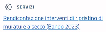 scarica la modulistica di rendicontazione dal Portale istituzionale